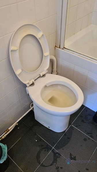  verstopping toilet Bergschenhoek